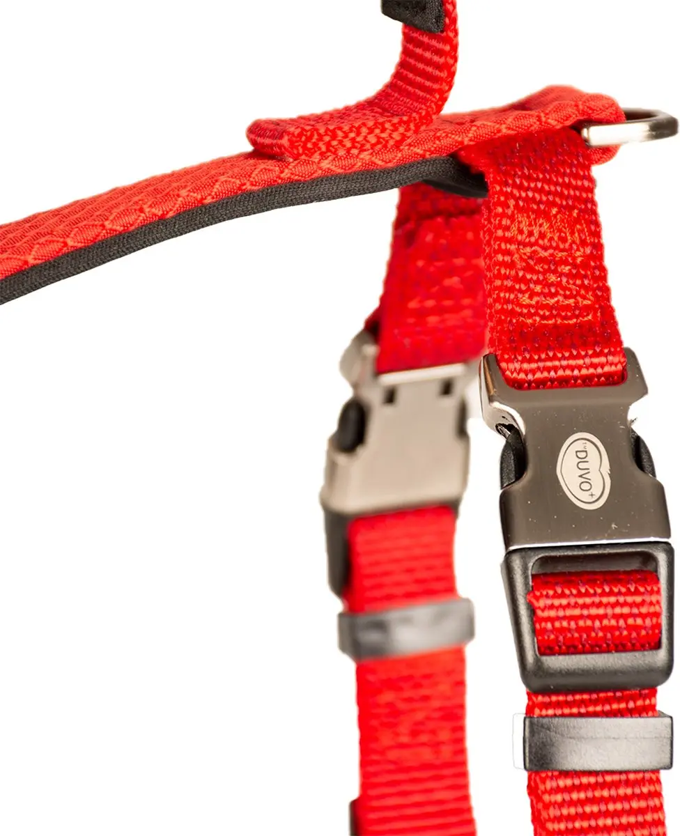 Duvo Duvoplus Explor North Harnas Hondentuigje S 30-40cm - Rood