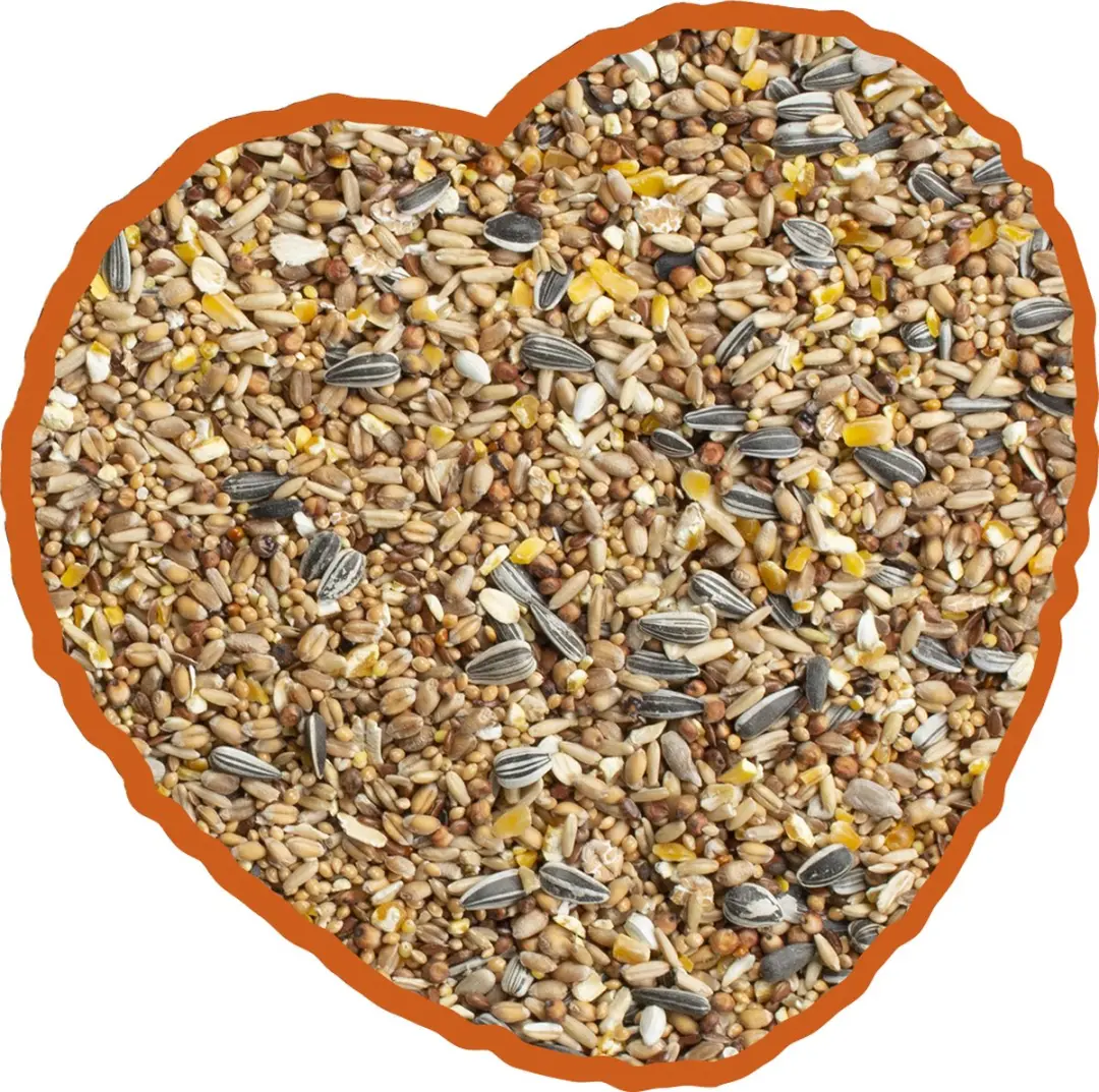 Duvo Strooivoer Buitenvogelvoer 20kg
