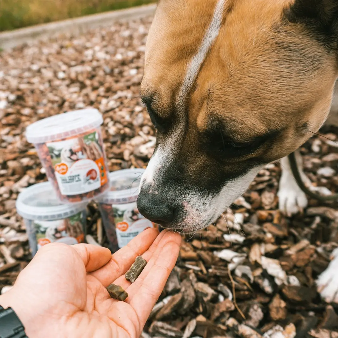 Duvo Duvoplus Hondensnack Soft! Eco Veggie Spinazie & Pompoen Mix 500g