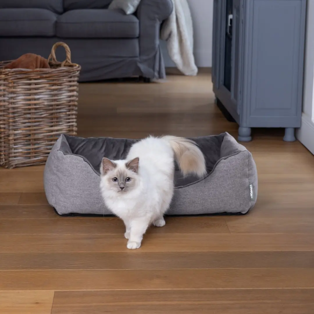 Lanaform Heat Nest Verwarmingsmand - 70x40x23cm - Grijs