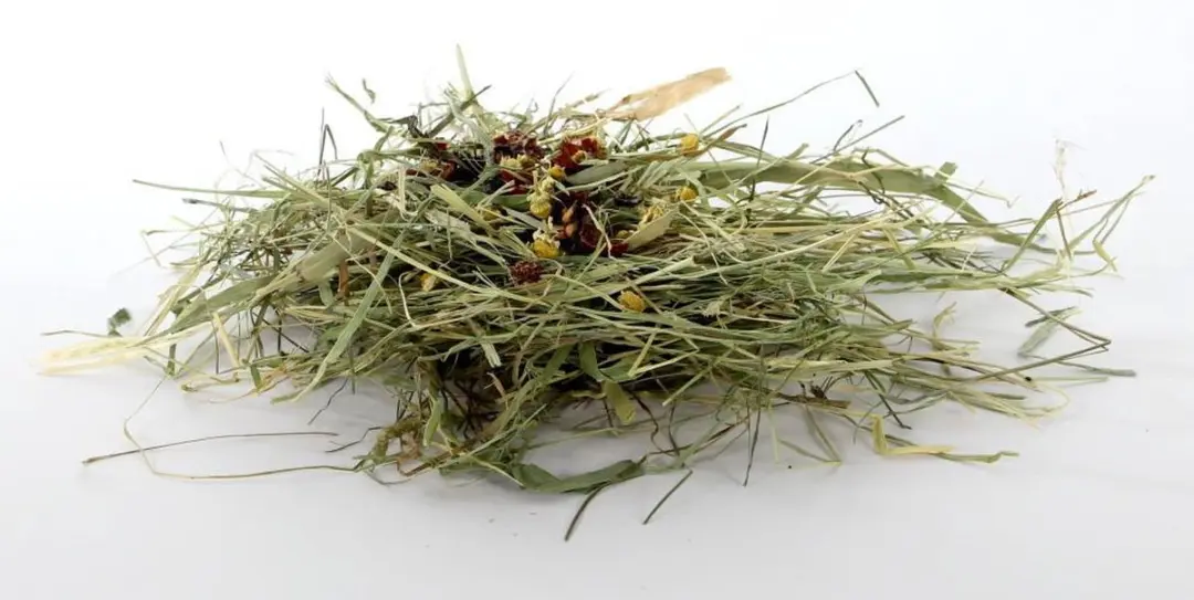 Duvo+ Kruidenhooi Mét Rozenbottel 500g