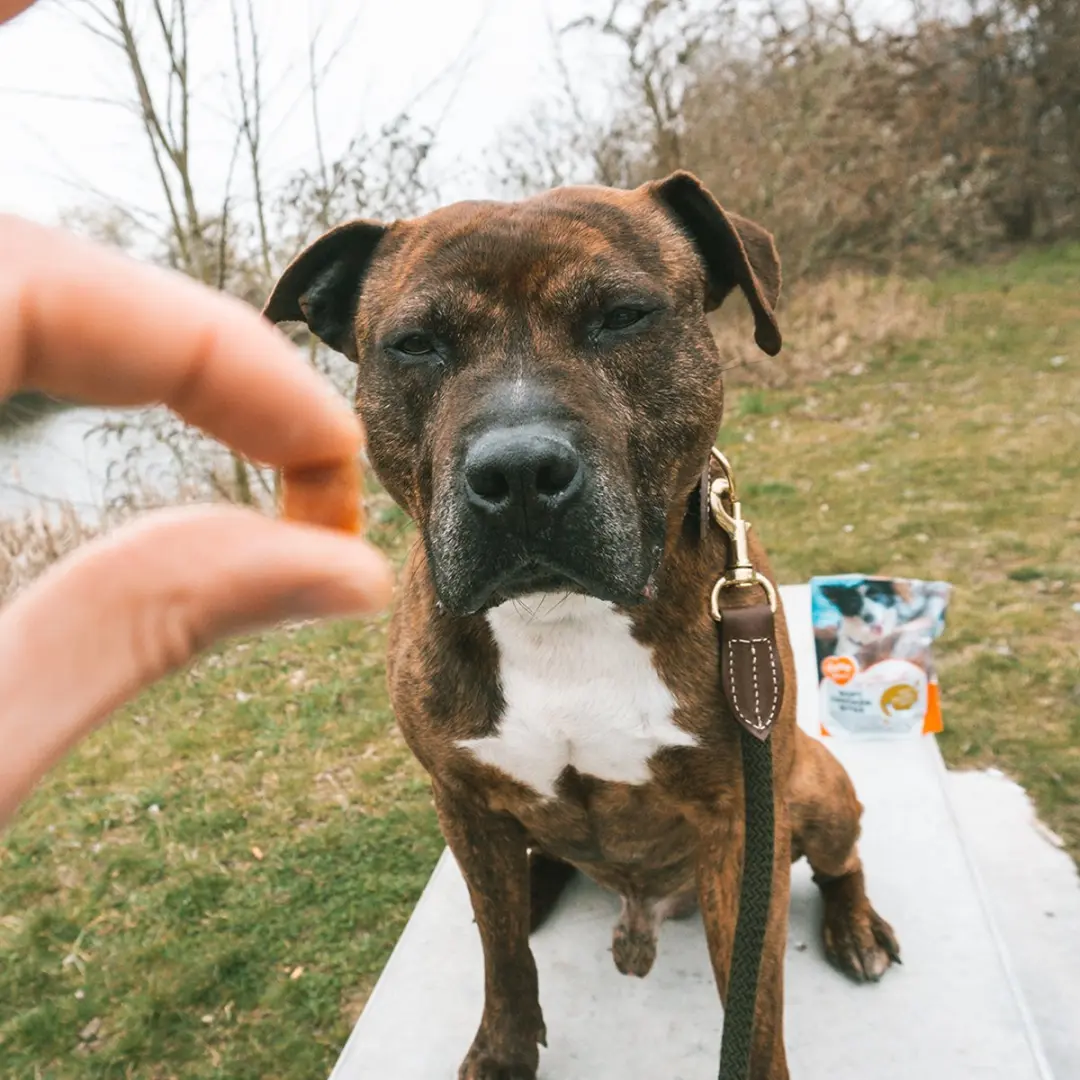 DuvoPlus Meat! Zachte Kippen Bites 200g - 334 Stuks