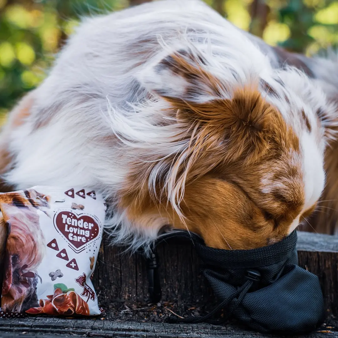 Duvo Soft Snack Lever 100g