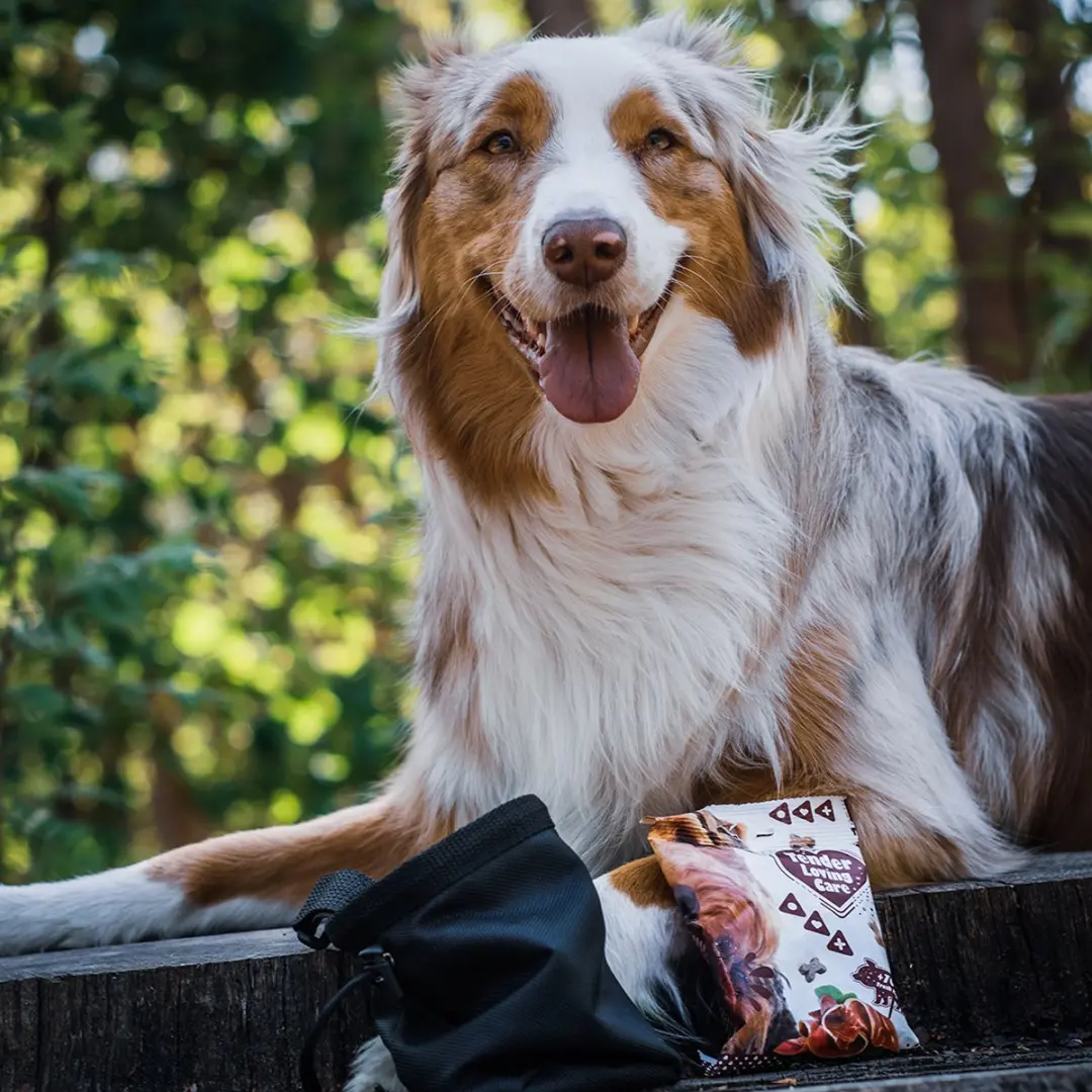 Duvo Soft Snack Lever 100g