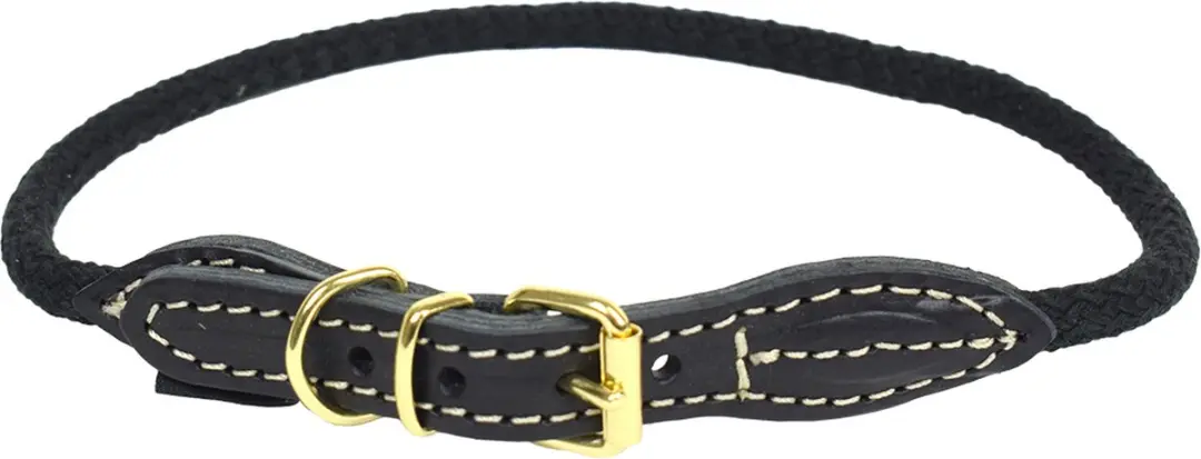 Duvo+ EXPLOR Forest Halsband Nylon - Zwart M