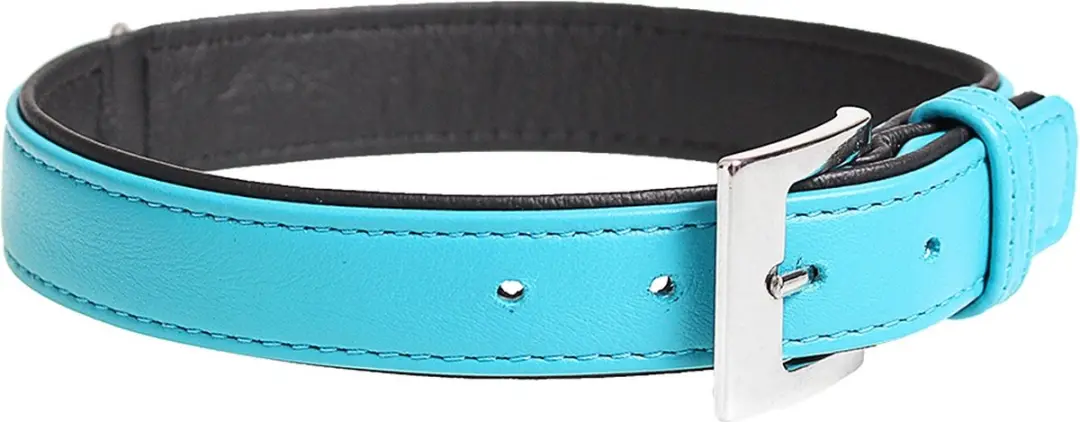 DuvoPlus Lederen Halsband 37-43cm Blauw