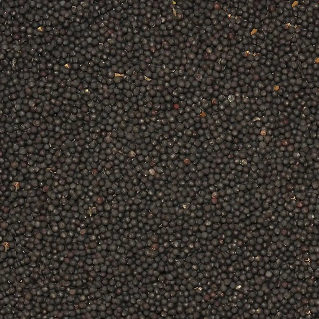 Duvo Binnenvogelvoer Koolzaad 20kg