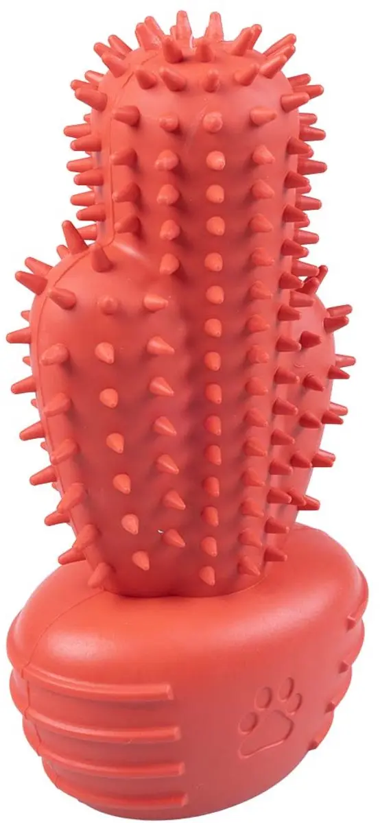 DuvoPlus Playtime Kauwspeeltje Griplay Cactus
