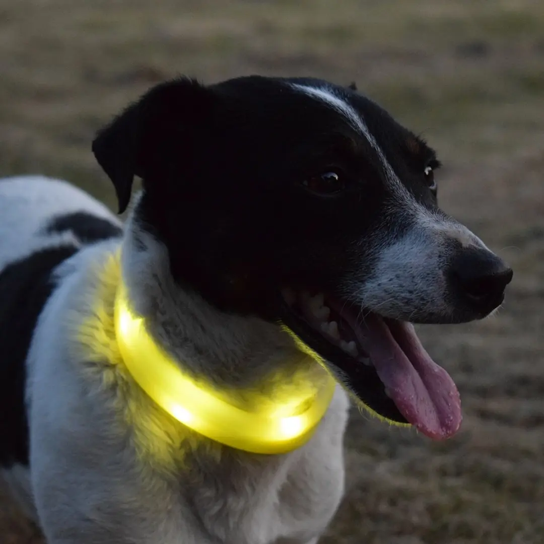 Duvo Dierenkleding Flash Light Ring Maxi USB Silicon - Geel