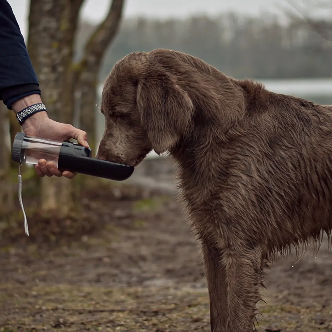 Duvo Duvoplus Waterfles Hond 300ml - Zwart