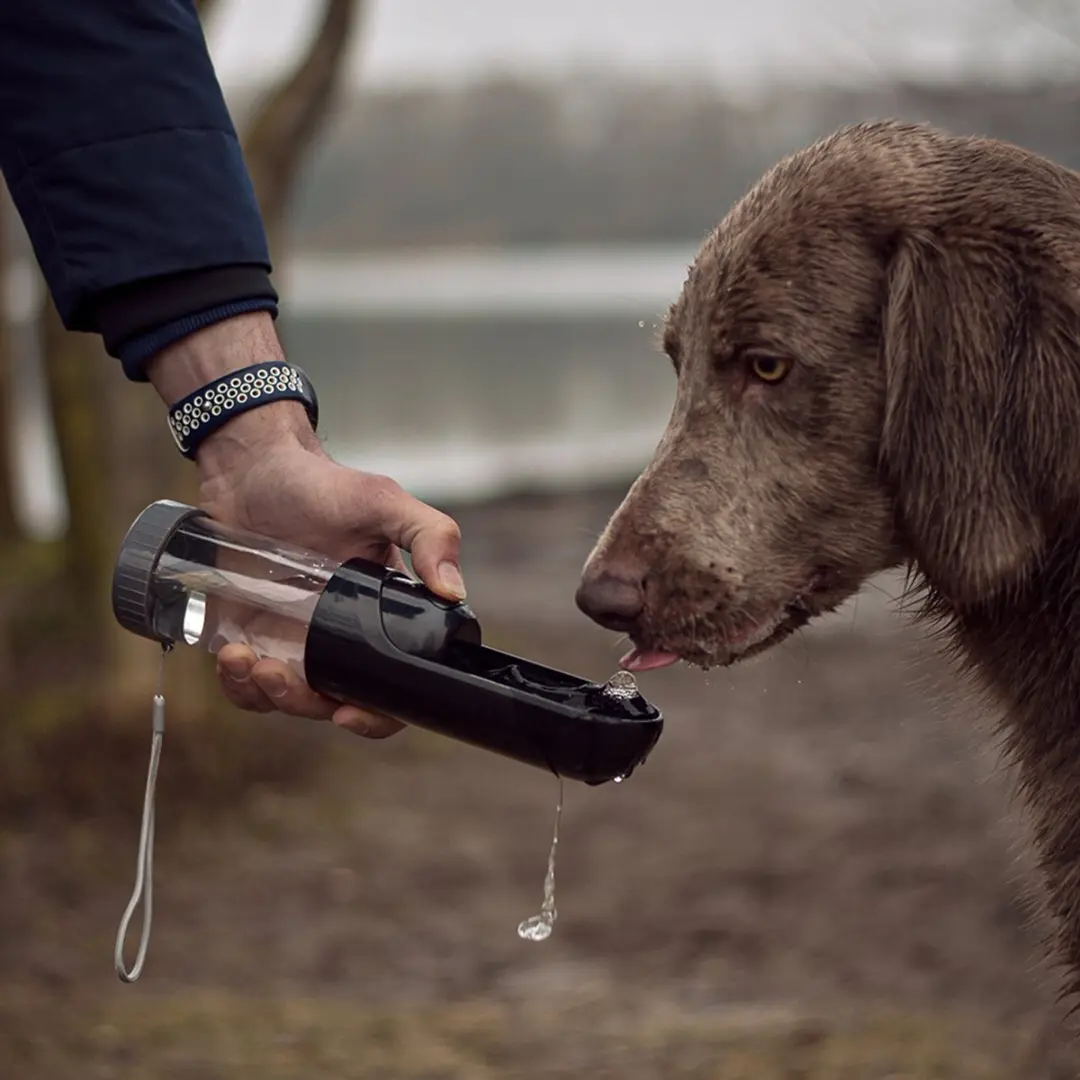 Duvo Duvoplus Waterfles Hond 300ml - Zwart