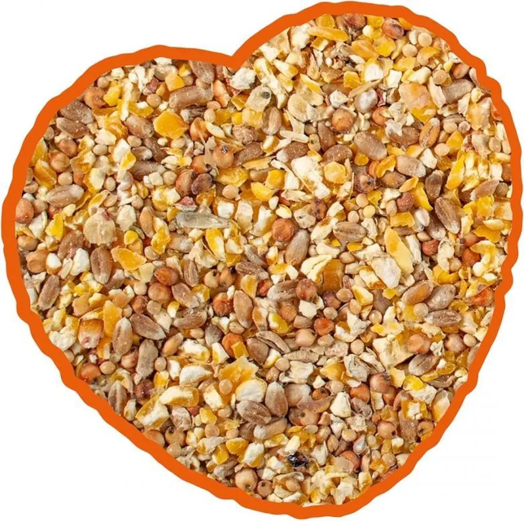 Duvo Duvoplus Kip Kuiken & Kwartel Mix Buitenvogelvoer 20kg