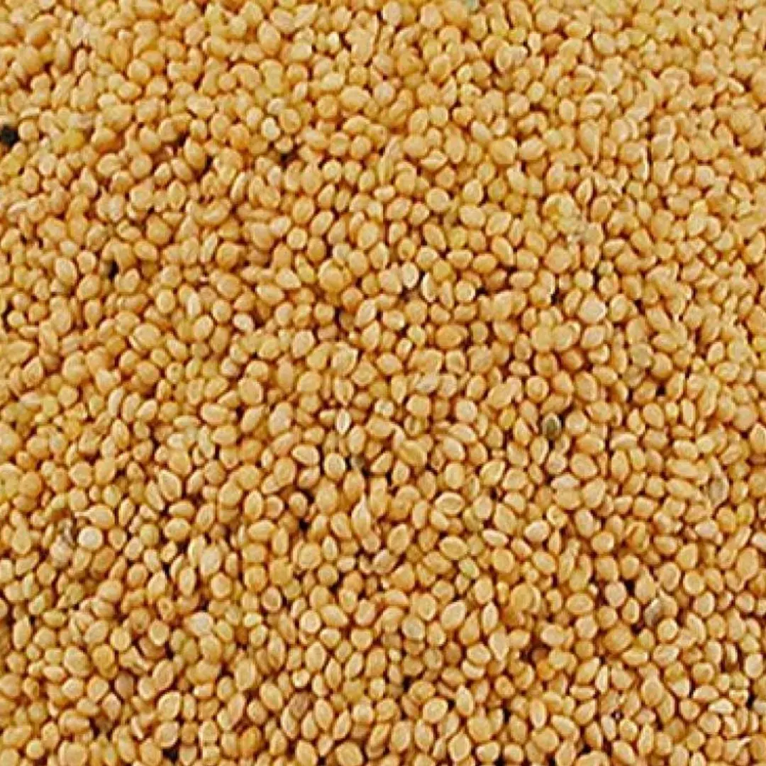 DuvoPlus Panis Geel Vogelveer 20kg