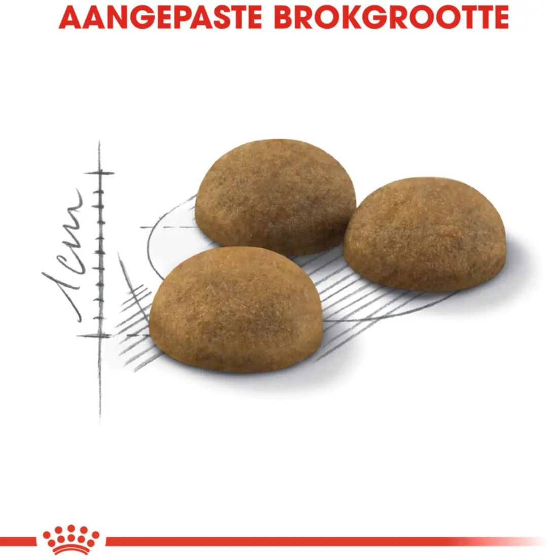 Royal Canin Indoor Long Hair Kattenvoer - 6x2kg