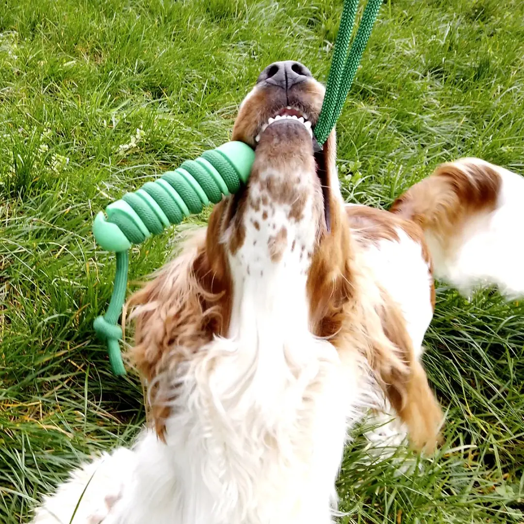 DuvoPlus Aandrukroller Swing 'n Chew Stick L - Groen