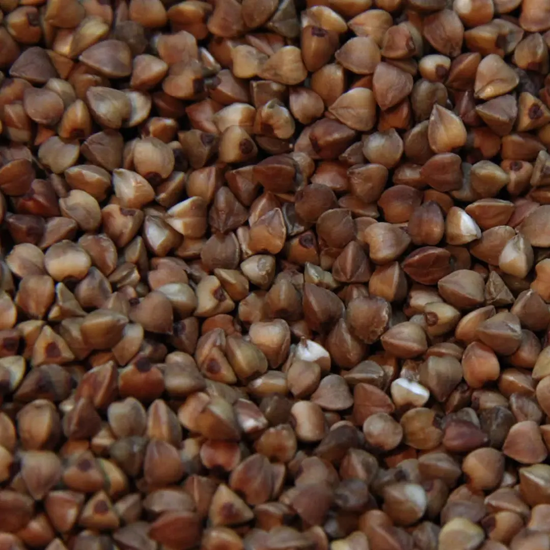 Duvo Binnenvogelvoer Boekweit Extra 20kg
