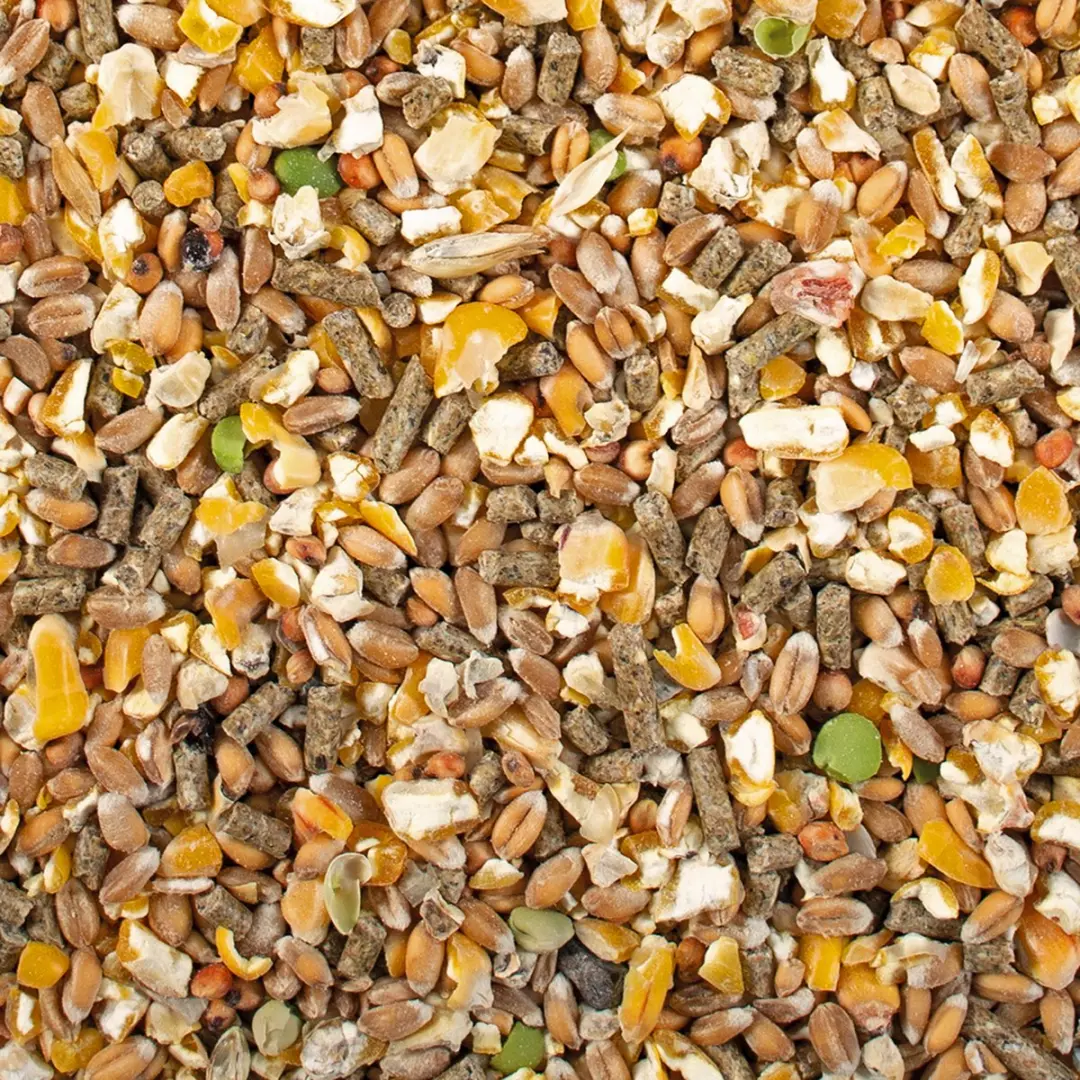 DuvoPlus Kip Leggraan Mix 4,5kg