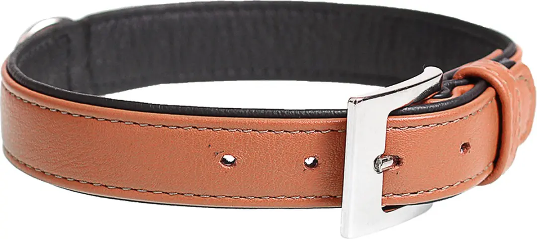 DuvoPlus Lederen Halsband 37-43cm/19mm Cognac