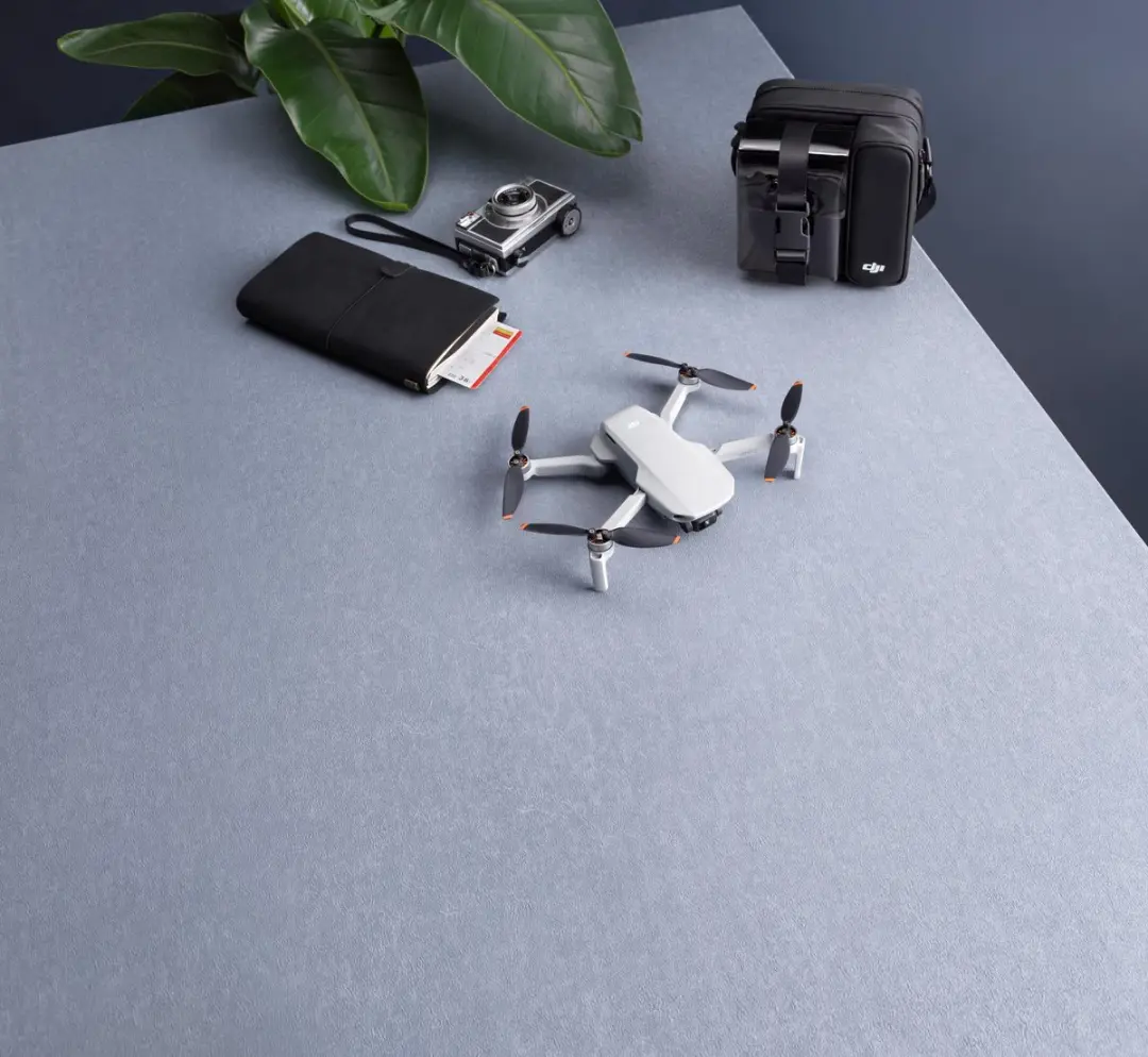 DJI Mini 2 Standaard Drone - Grijs
