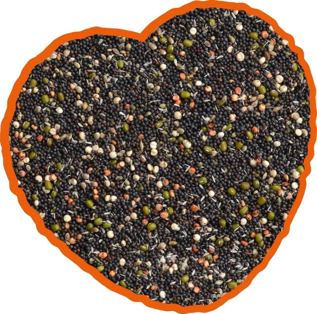 DuvoPlus Kiemzaad Mix Vogelveer 20kg