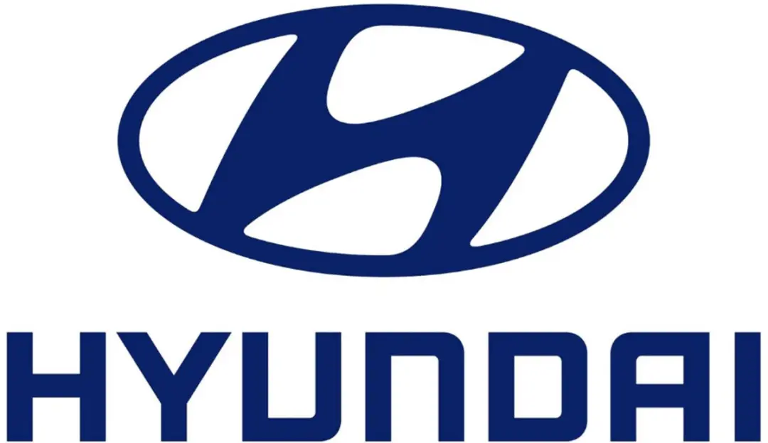 Hyundai VC009 HEPA Stofzuiger 700W - 1,5L Transparent