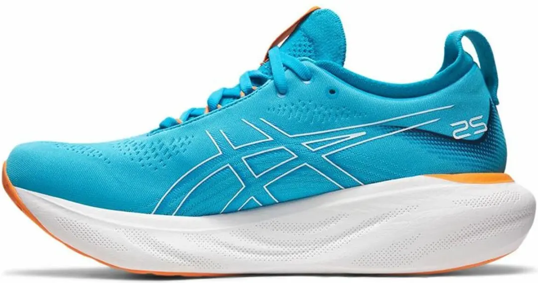 ASICS Gel-Nimbus 25 Hardloopschoenen - 48.5 - Meerkleurig