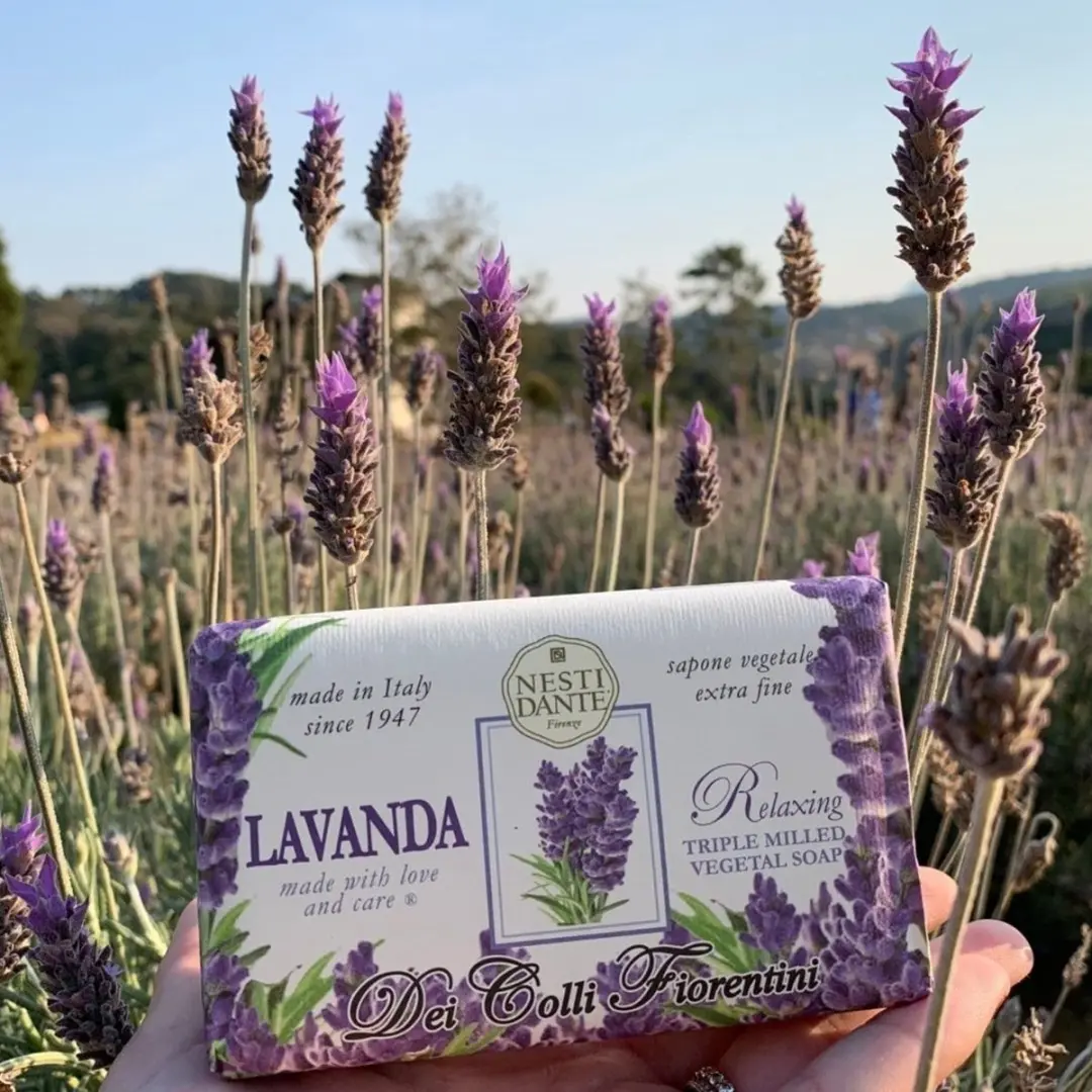 Nesti Dante Dei Colli Fiorentini Lavendel Zeep 250g