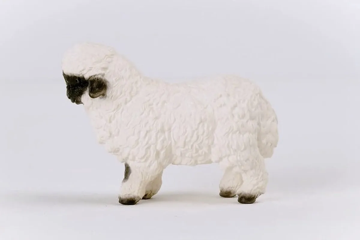 Schleich Farm World Valais Schaap SLH13965 - Wit