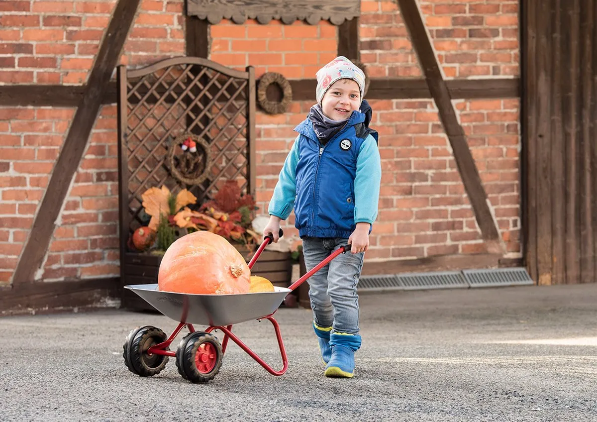 Rolly Toys Kinderkruiwagen - Zilver