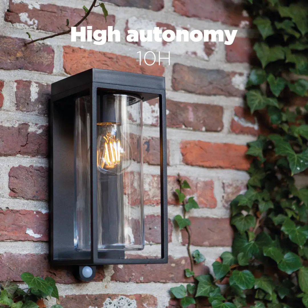 Lutec Flair Solar Wandlamp E27 - 2W 200Lm IP44 - Zwart