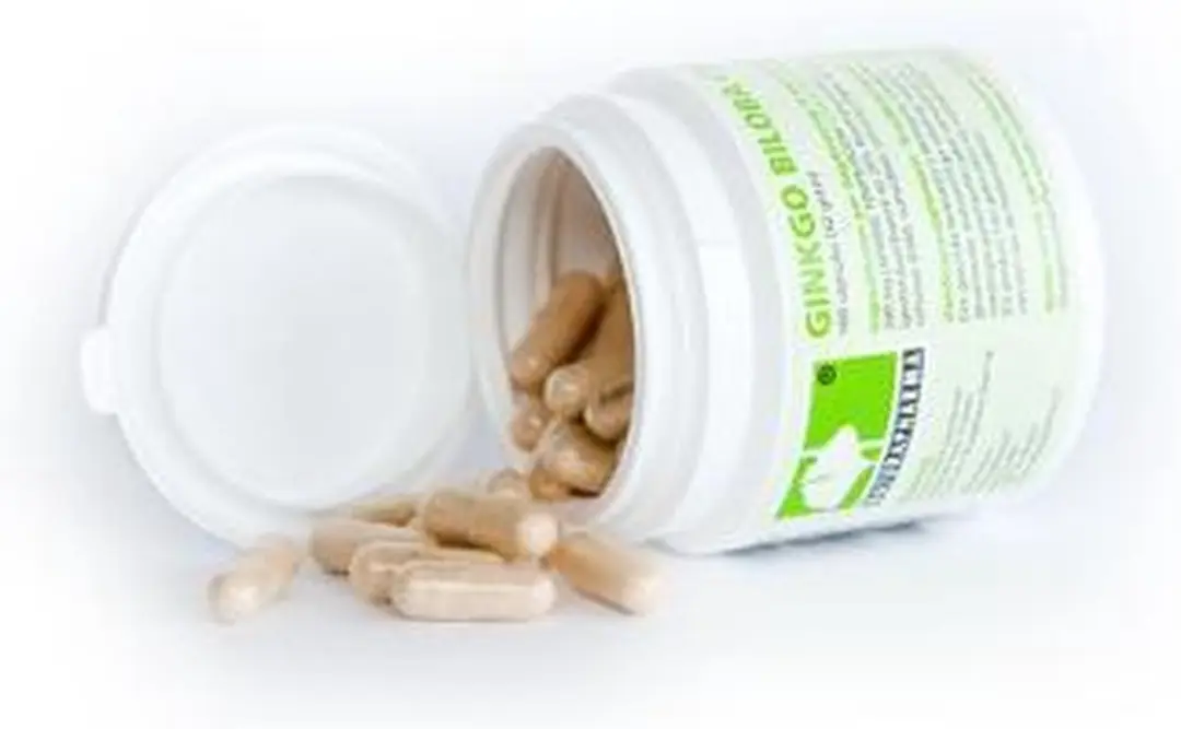 Naturapharma Ginkgo Biloba CMN Plus - 200 Capsules