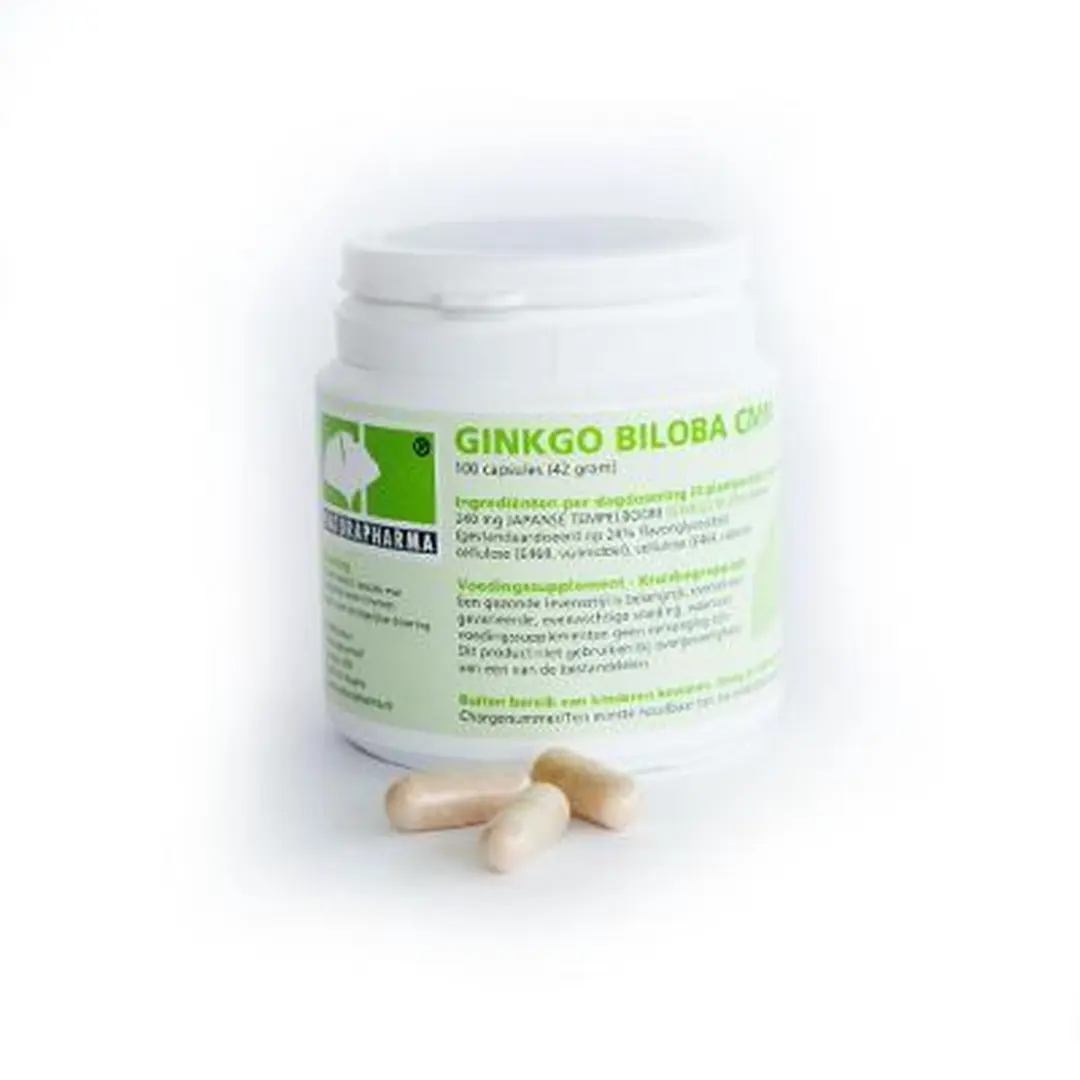 Naturapharma Ginkgo Biloba CMN Plus