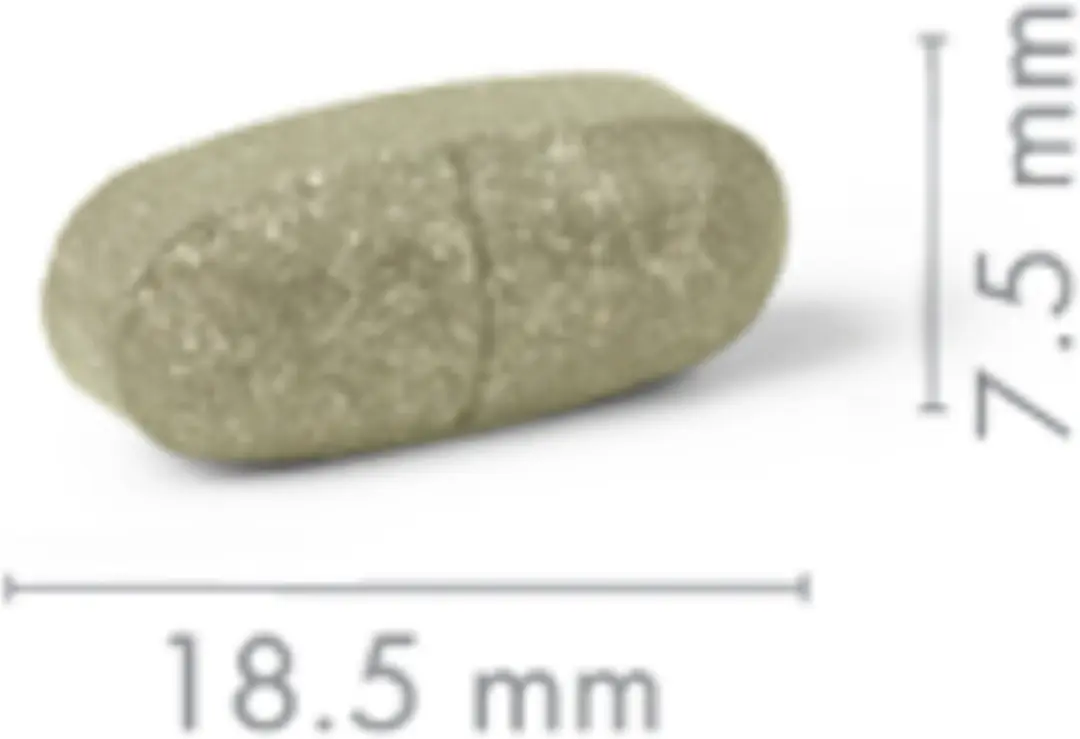 New Nordic Fatburner - 60 tabletten