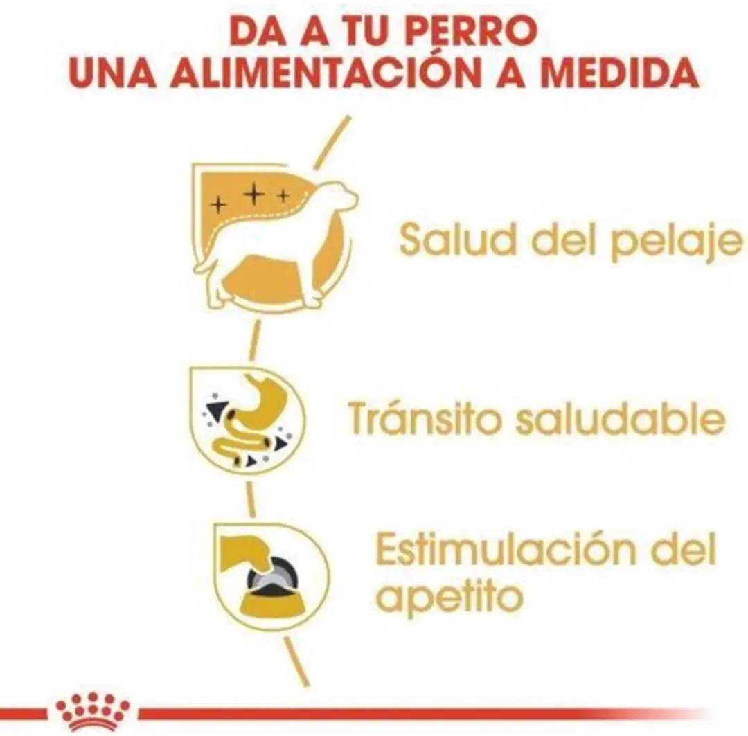 Royal Canin Chihuahua Adult Natvoer - 48 x 85g