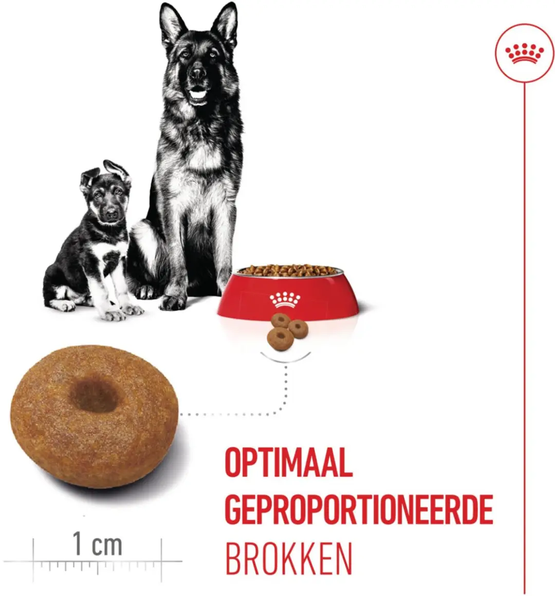 Royal Canin Maxi Starter Mother & Babydog - 2x4kg