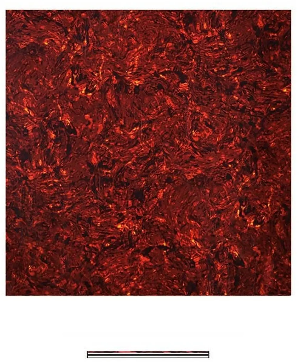 Boston PG-433-TI Pickguard - 4-laags Tortoise Intense