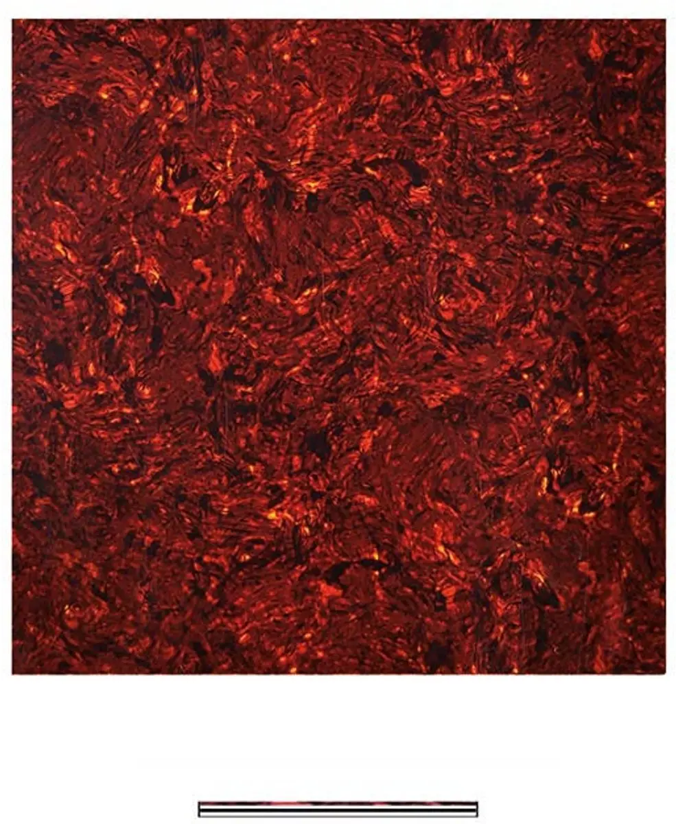 Boston PG-433-TI Pickguard