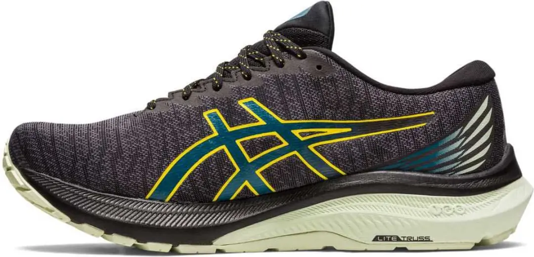 ASICS GT-2000 11 Gore-Tex Hardloopschoenen - Grijs - EU 48