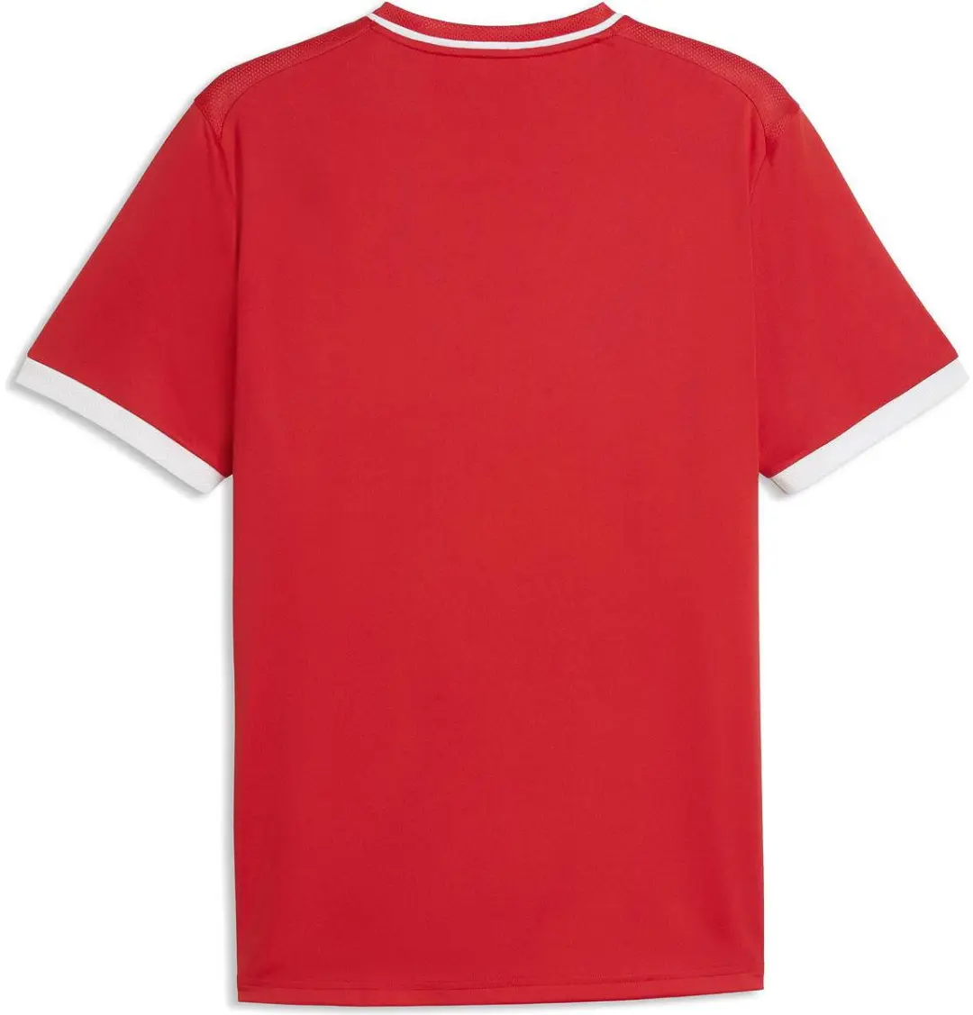 PUMA Teamliga Striped Shirt Heren - Rood - 3XL