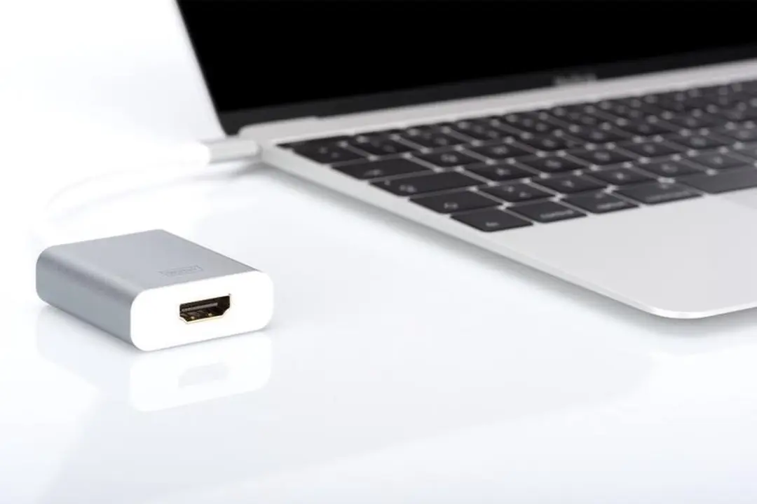 Digitus DA-70836 USB Type-C naar HDMI Adapter 0,2m - Zilver
