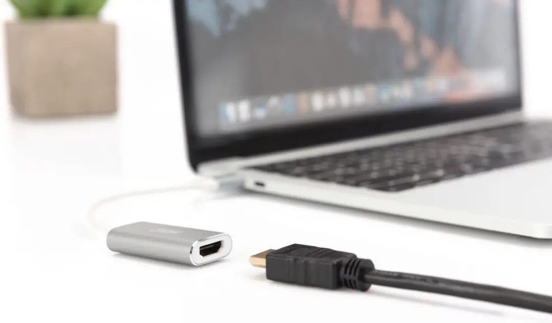 Digitus DA-70836 USB Type-C naar HDMI Adapter 0,2m - Zilver