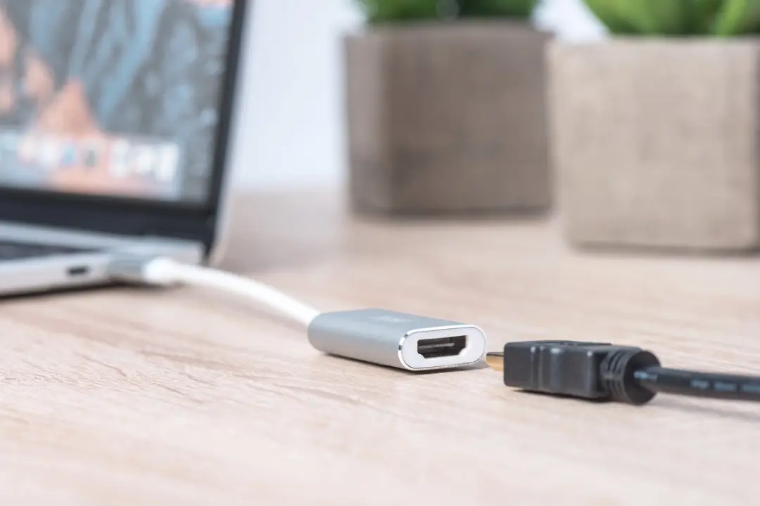 Digitus DA-70836 USB Type-C naar HDMI Adapter 0,2m - Zilver