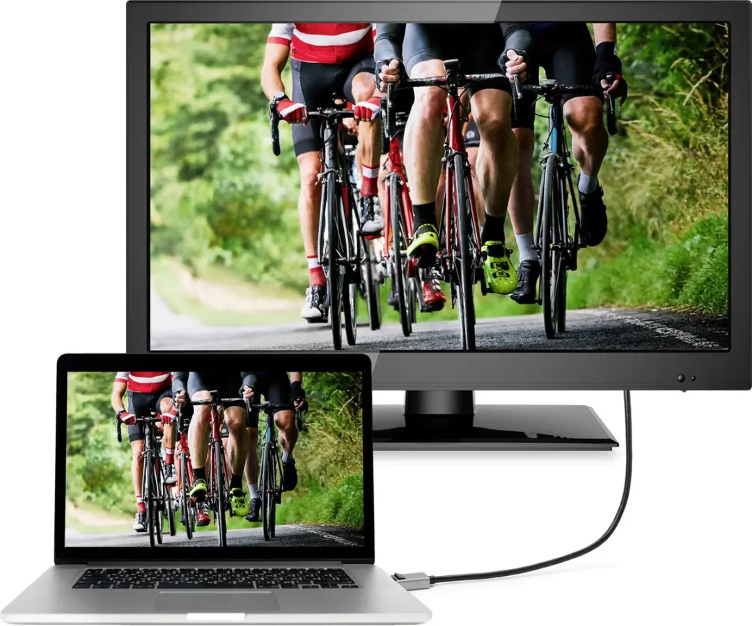 SpeaKa Professional SP-9510452 DisplayPort-kabel 3.0 - Zwart