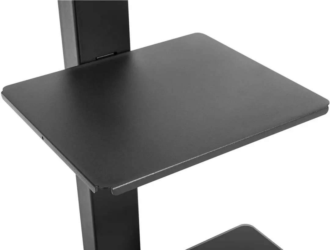 Goobay TV-vloerstandaard 58526 - 70 inch - Draaibaar - Zwart