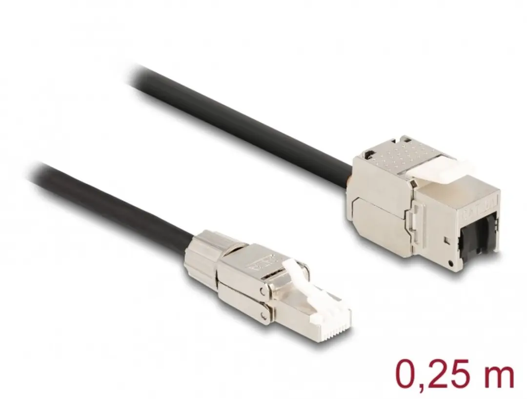 Delock RJ45 Cat.6A Kabel 25cm