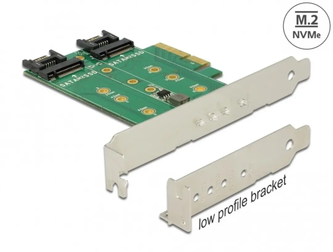 Delock 89518 PCIe Kaart