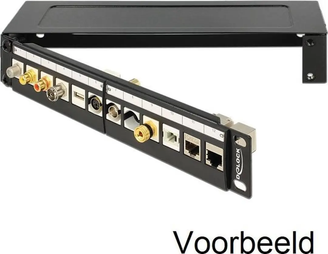 Delock 10'' Patch Panel Behuizing 1U - Metaal - Zwart