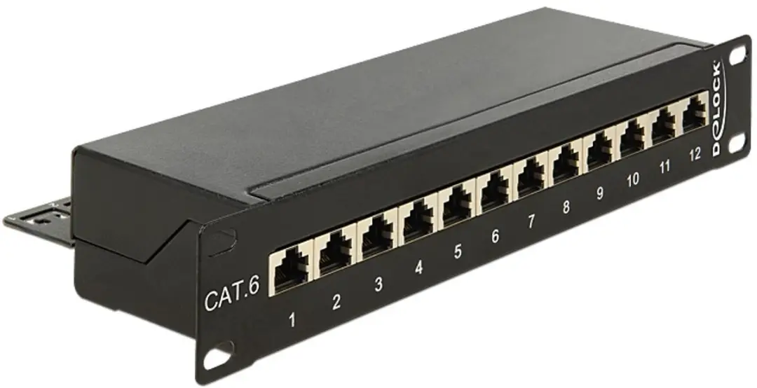 Delock CAT6 Patch Panel 12 Poorten