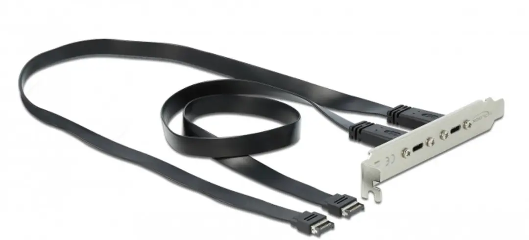 Delock USB 3.1 Gen 2 Slotbeugel - 2x USB-C Poorten - Zwart
