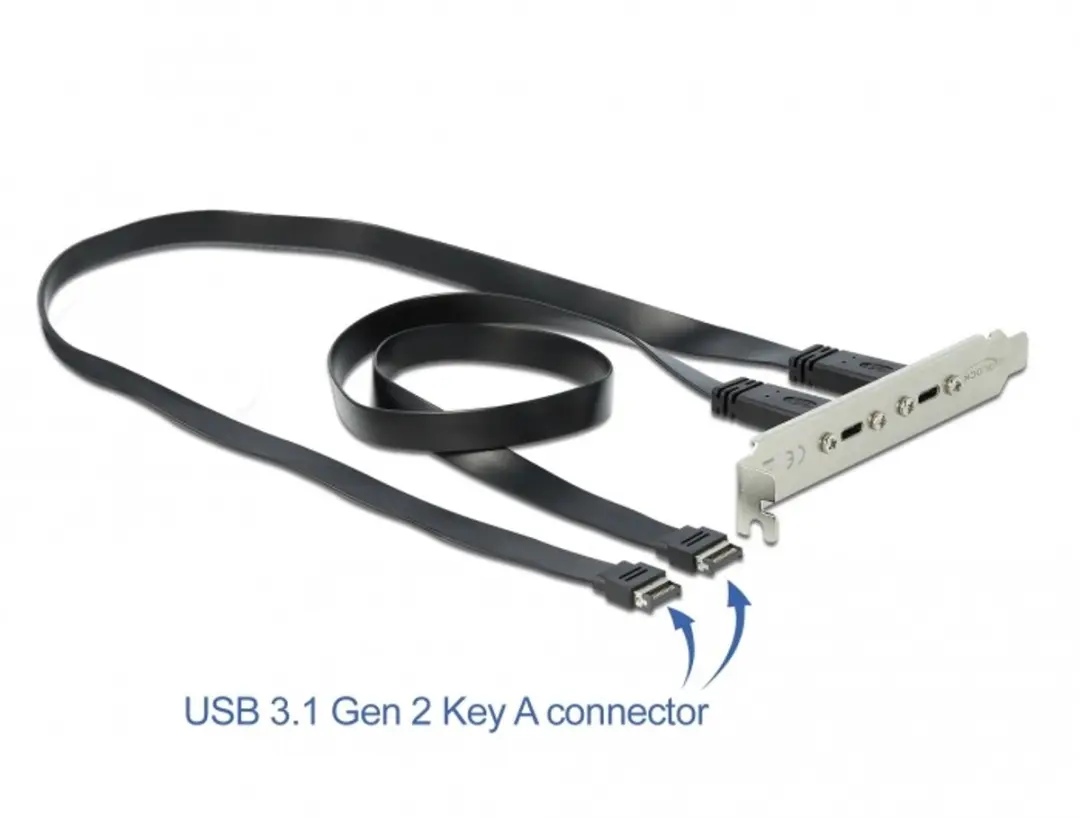 Delock USB 3.1 Gen 2 Slotbeugel
